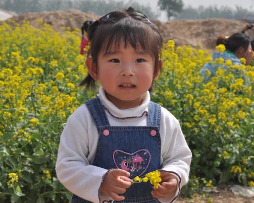 新天際幼兒園 摘草莓實(shí)踐活動(dòng)